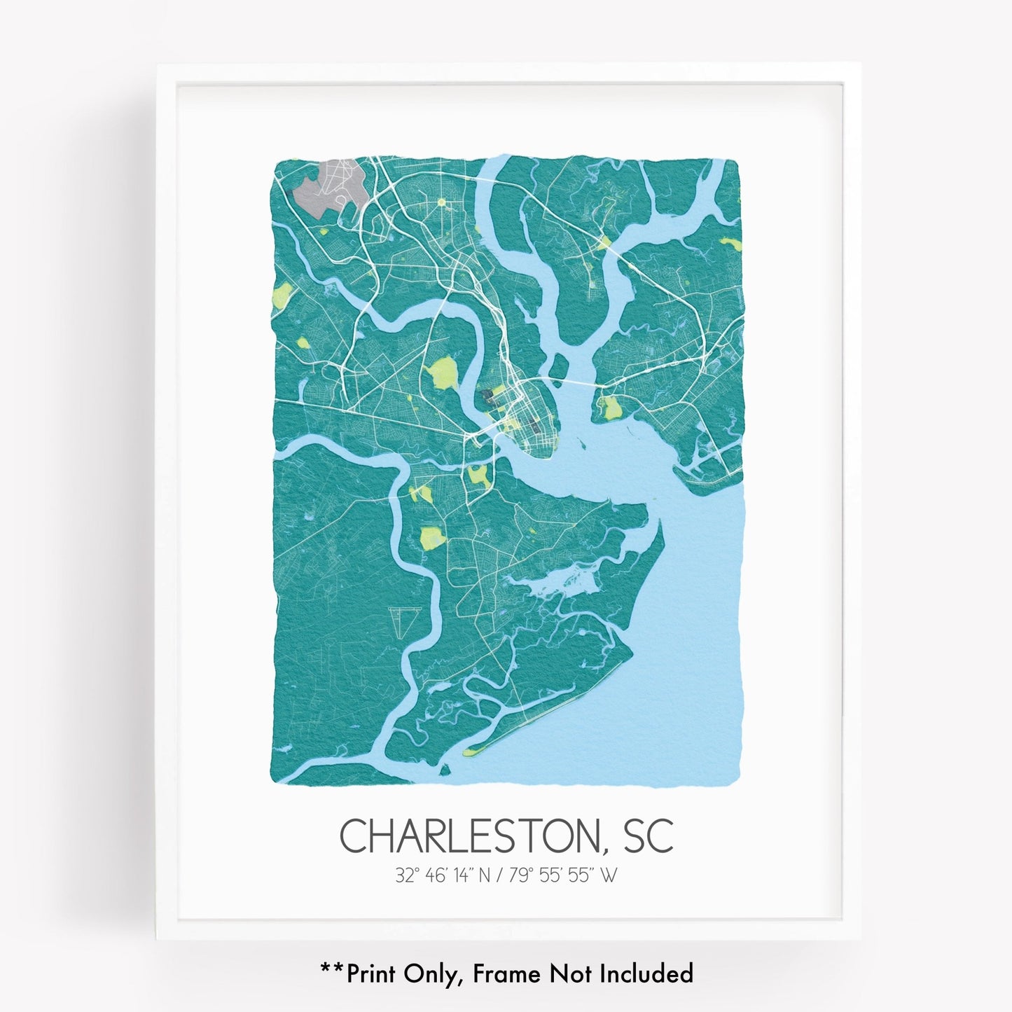 Charleston SC City Map Art Print - Hometown Map Poster - City Map South Carolina Souvenir